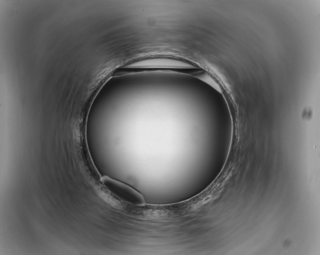 X0000099520105200805291219