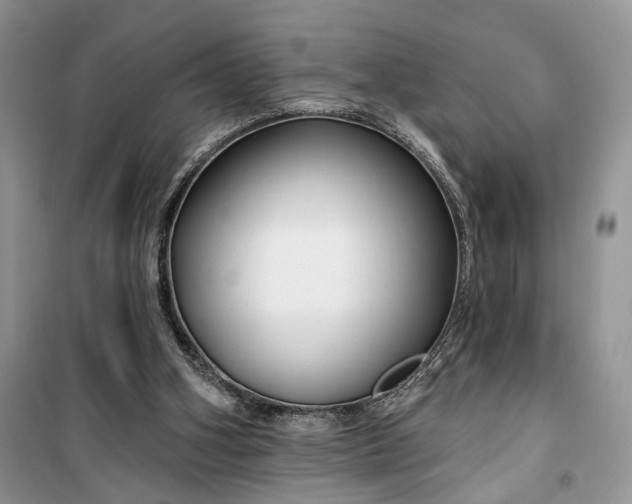 X0000099520106200805291219