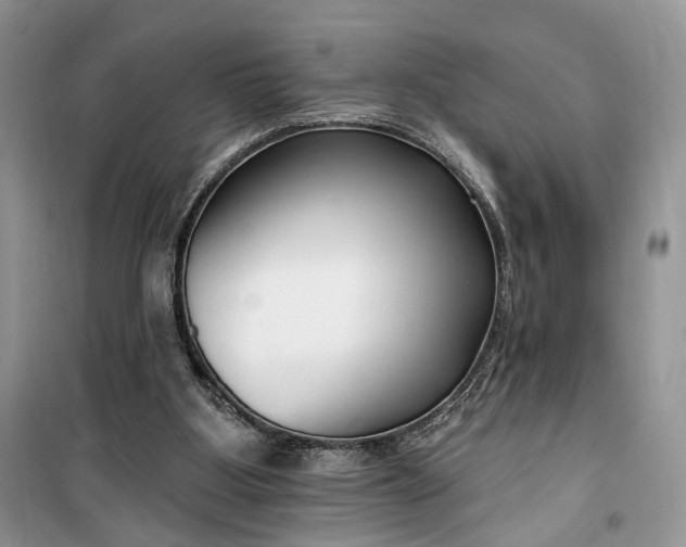 X0000099520107200805291219