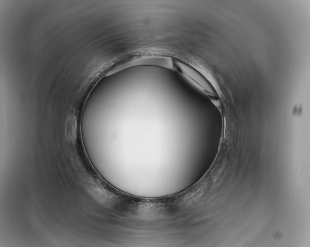 X0000099520109200805291219