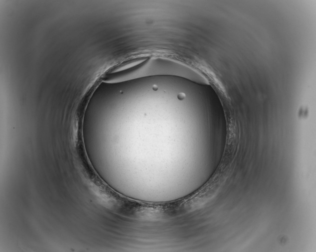 X0000099520110200805291219