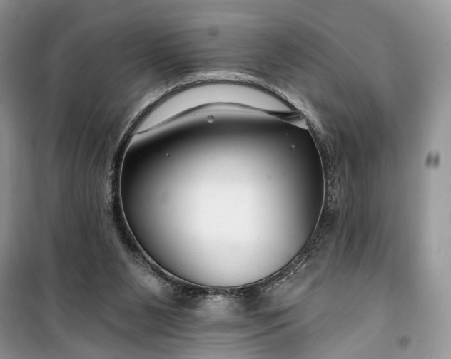 X0000099520111200805291219