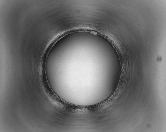 X0000099520112200805291219