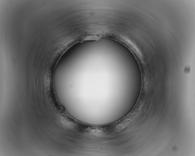 X0000099520113200805291219