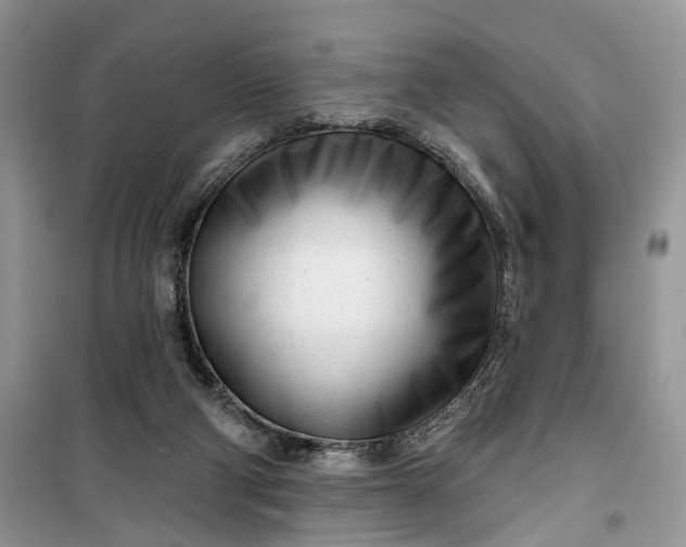 X0000099520114200805291219