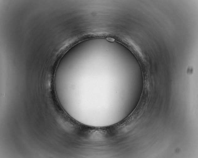 X0000099520115200805291219