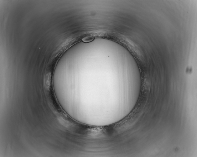 X0000099520118200805291219