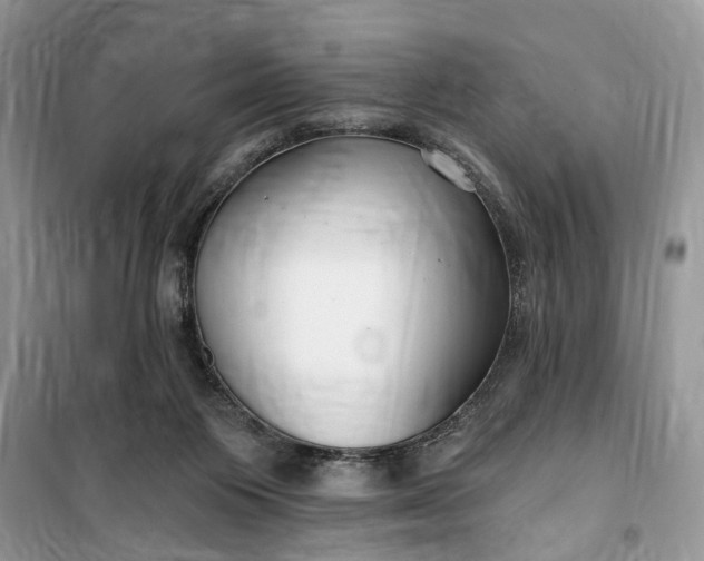 X0000099520119200805291219