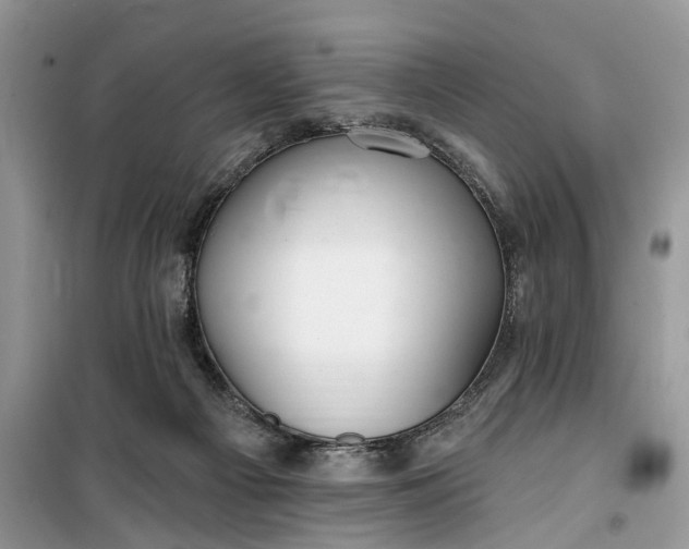 X0000099520121200805291219