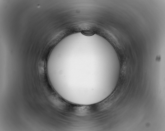 X0000099520122200805291219