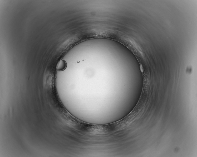 X0000099520123200805291219