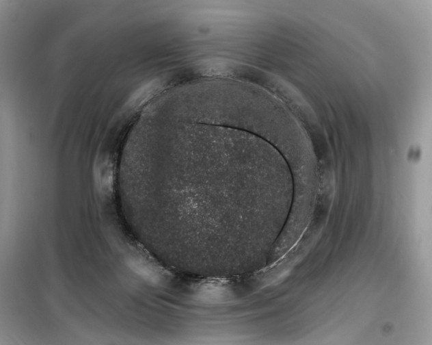 X0000099520124200805291219