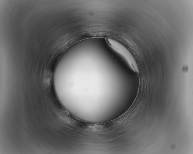 X0000099520125200805291219