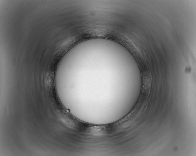 X0000099520126200805291219