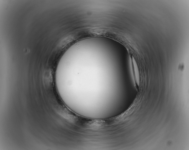 X0000099520128200805291219