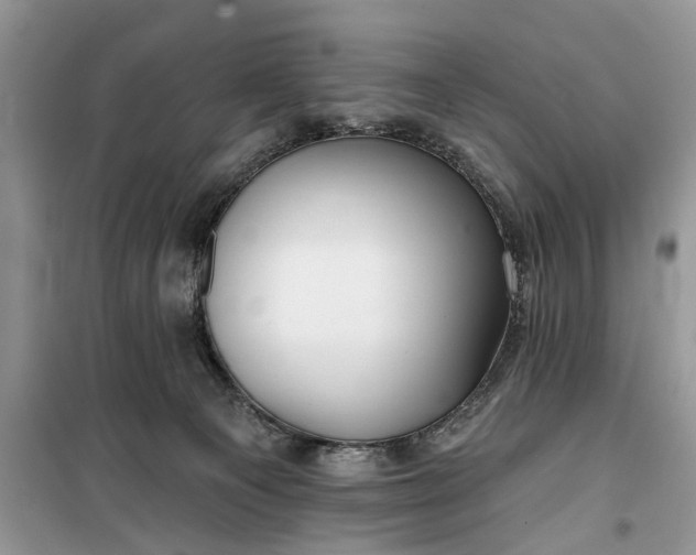 X0000099520129200805291219