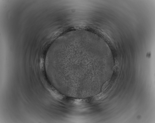 X0000099520130200805291219