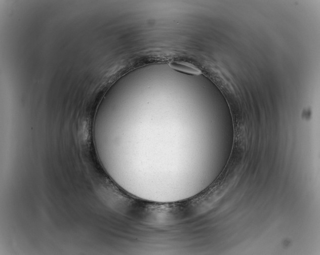 X0000099520131200805291219