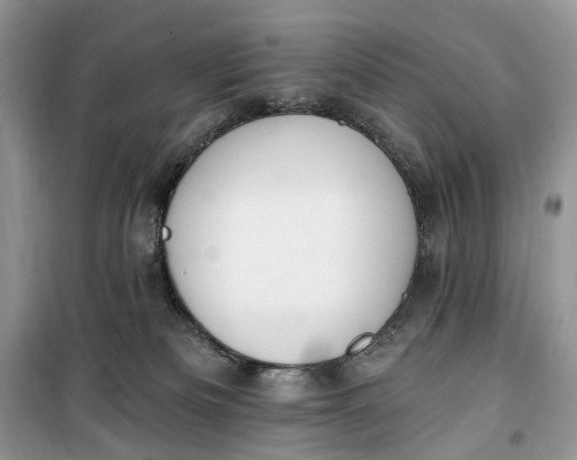 X0000099520133200805291219