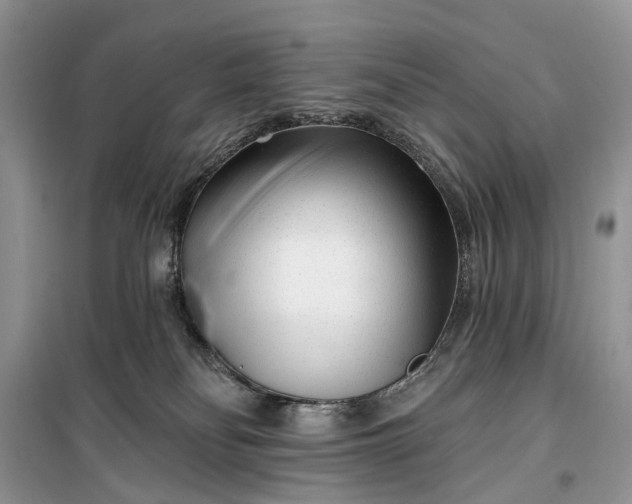 X0000099520134200805291219