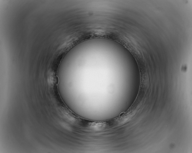 X0000099520135200805291219