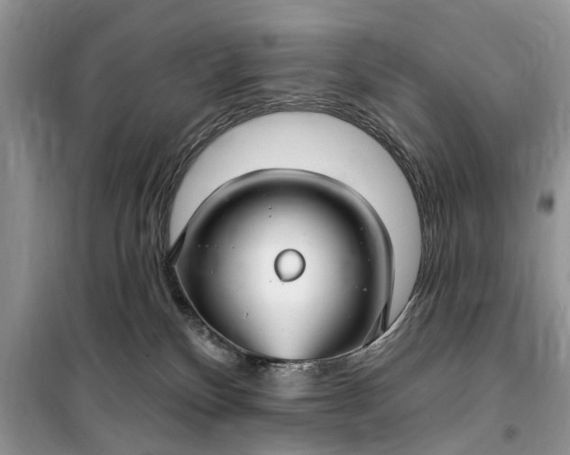 X0000099520136200805291219