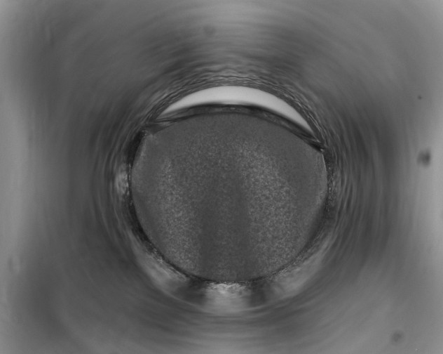 X0000099520137200805291219