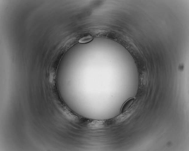 X0000099520138200805291219