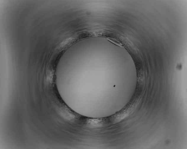 X0000099520139200805291219