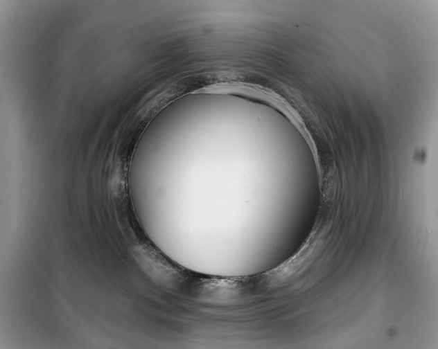 X0000099520140200805291219