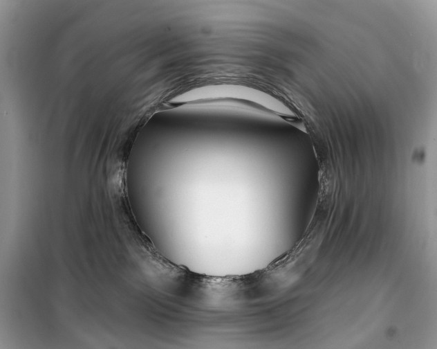 X0000099520141200805291219