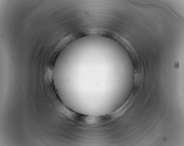 X0000099520142200805291219