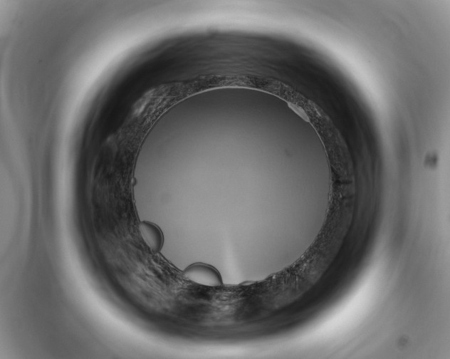 X0000099520143200805291219