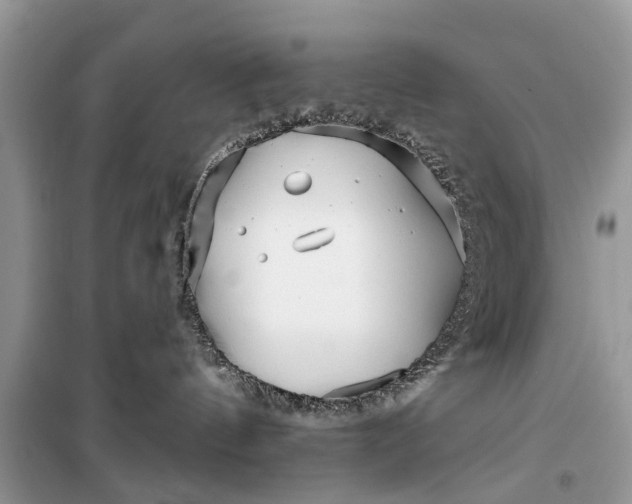 X0000099520144200805291219