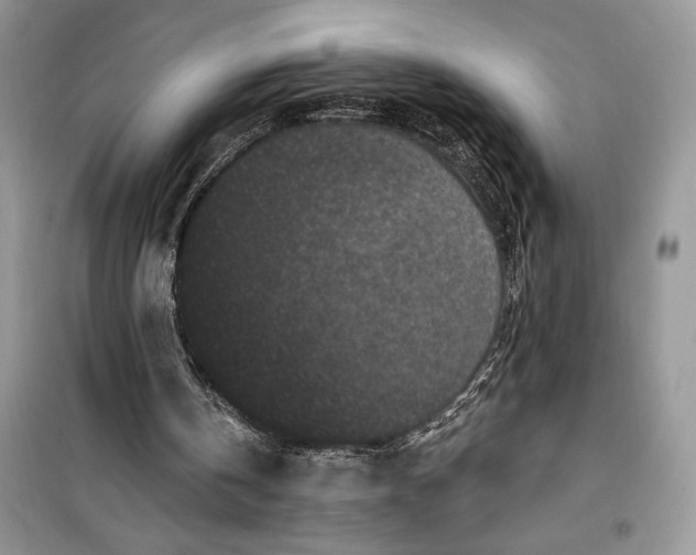 X0000099520146200805291218