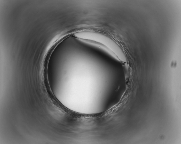 X0000099520150200805291218