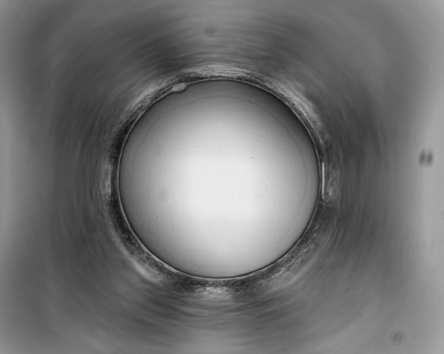 X0000099520157200805291218