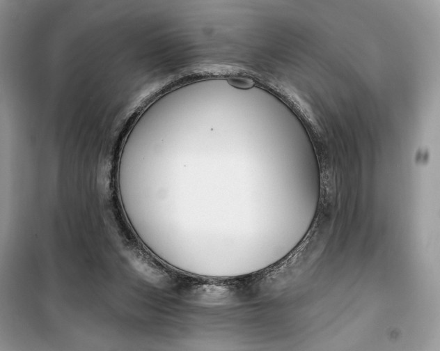 X0000099520159200805291218