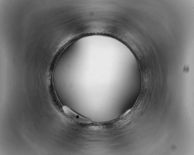 X0000099520160200805291218