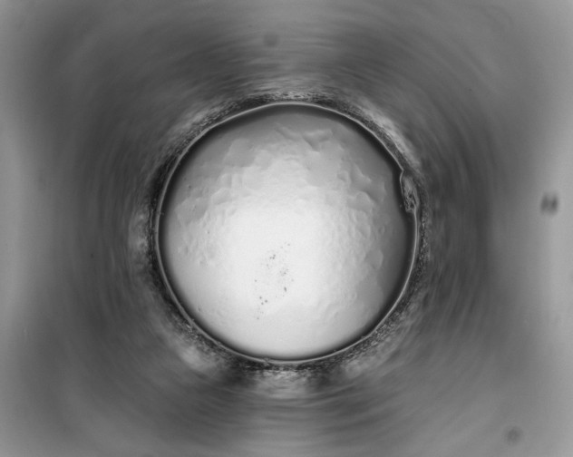 X0000099520161200805291218