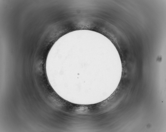 X0000099520162200805291218