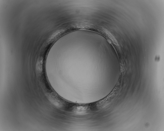 X0000099520163200805291218