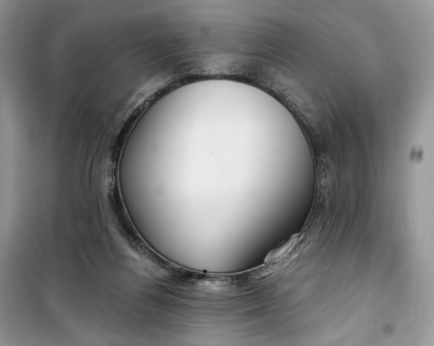 X0000099520164200805291218