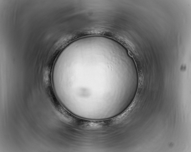 X0000099520166200805291219