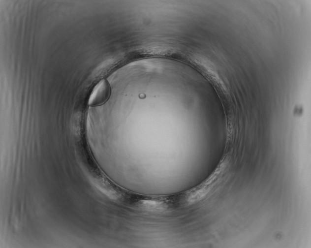 X0000099520167200805291219