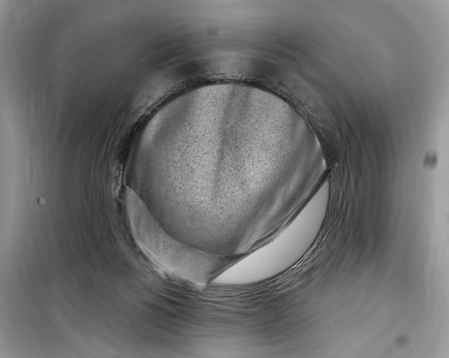 X0000099520168200805291219