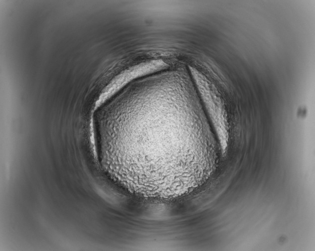 X0000099520169200805291219