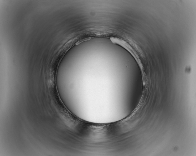 X0000099520170200805291219