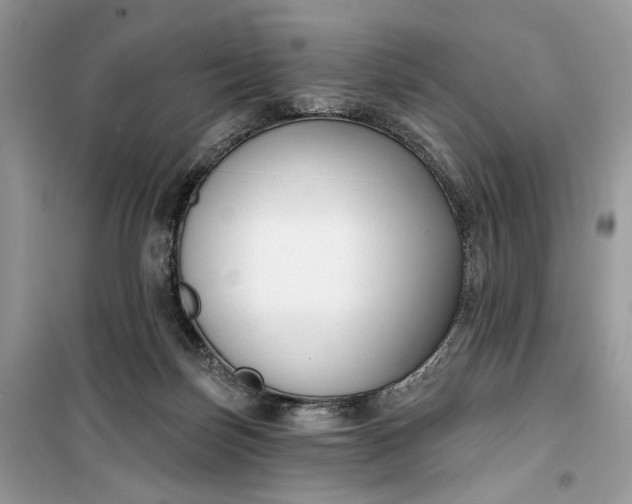 X0000099520171200805291219