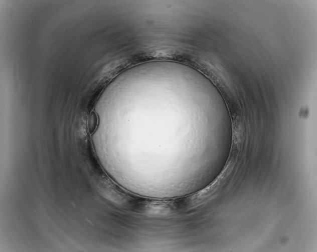 X0000099520175200805291219